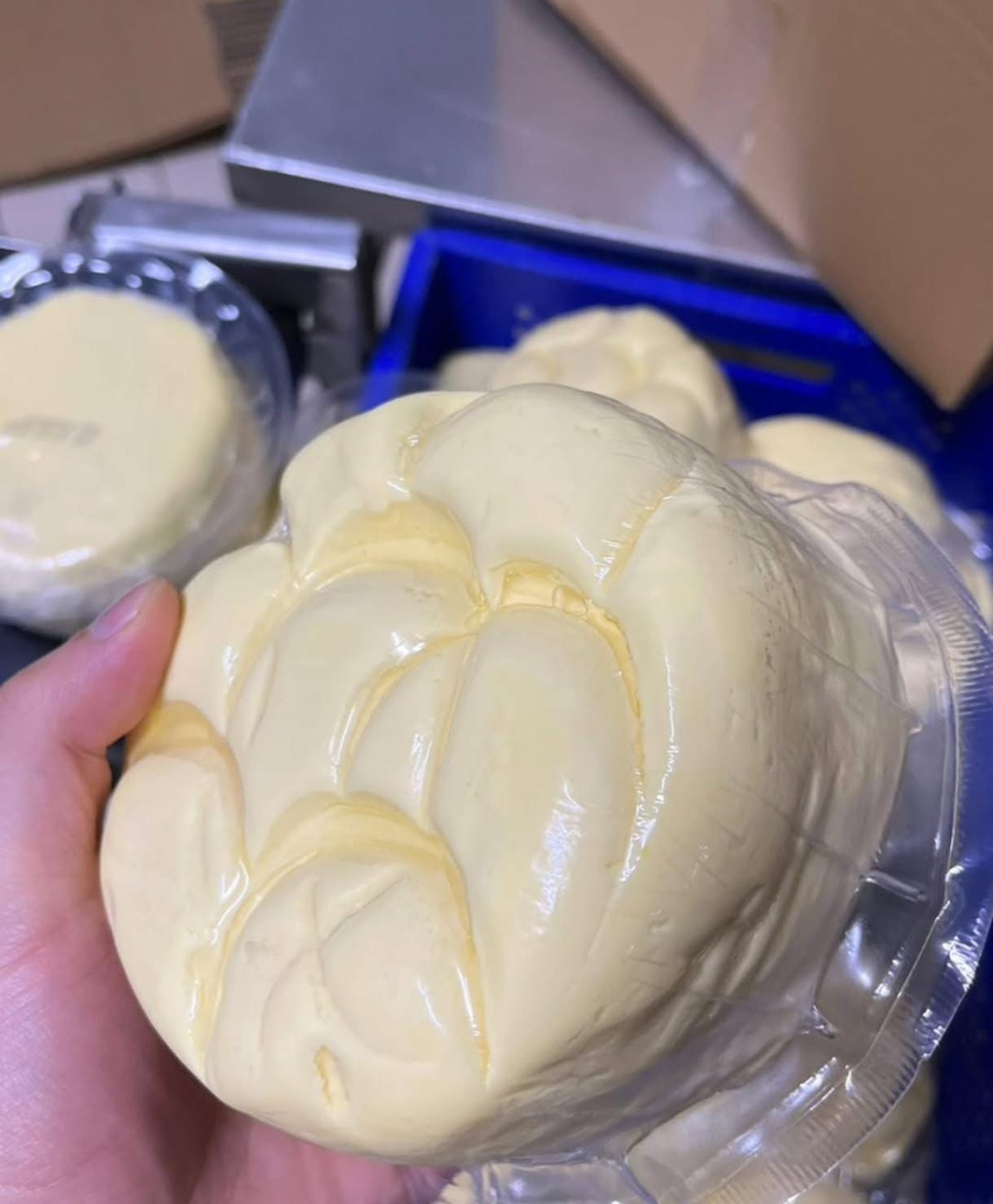 Kalandar Süt Ürünleri